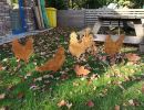 oldandnew jardin acier corten animaux